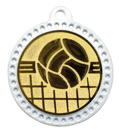 Μετάλλιο-M320 VOLLEY GOLD233X266.jpg